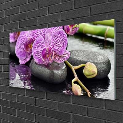 Glastavla Orchid Zen Orchid Spa