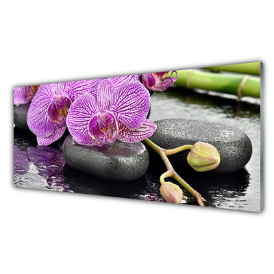 Glastavla Orchid Zen Orchid Spa