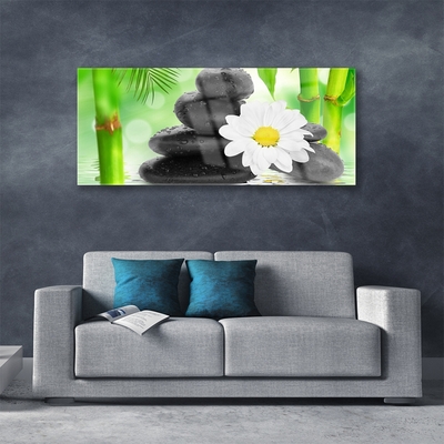 Glas bild Bambu Daisy Flower