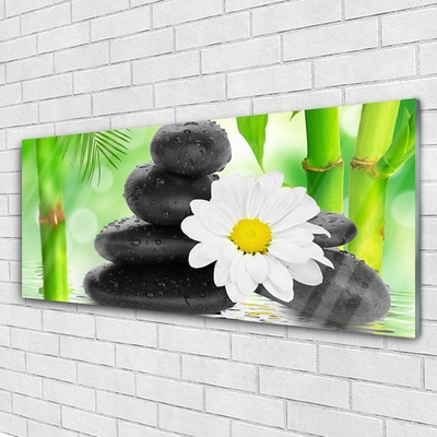 Glas bild Bambu Daisy Flower