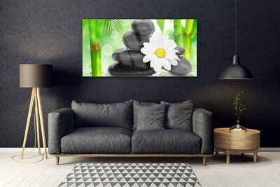 Glas bild Bambu Daisy Flower