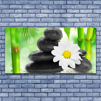 Glas bild Bambu Daisy Flower