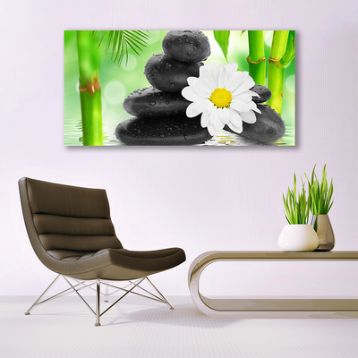 Glas bild Bambu Daisy Flower