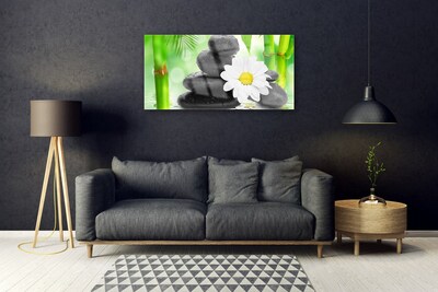 Glas bild Bambu Daisy Flower