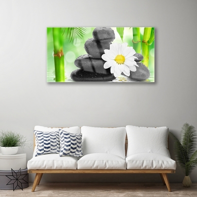 Glas bild Bambu Daisy Flower