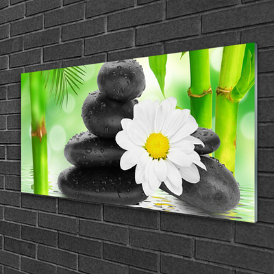 Glas bild Bambu Daisy Flower