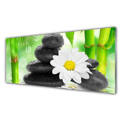 Glas bild Bambu Daisy Flower