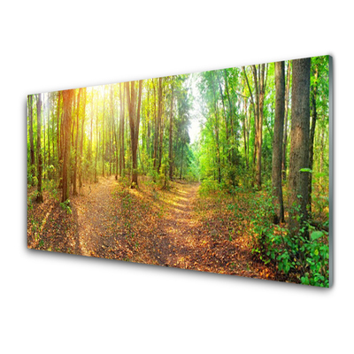 Glasbild Sun Nature Forest Path