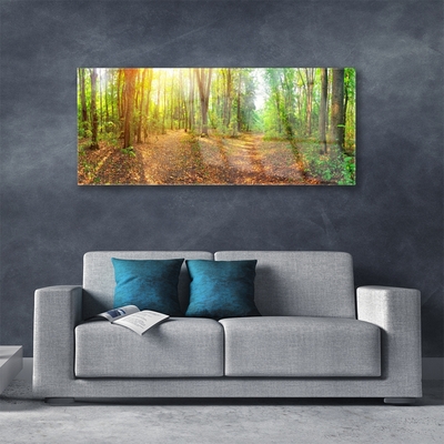 Glasbild Sun Nature Forest Path