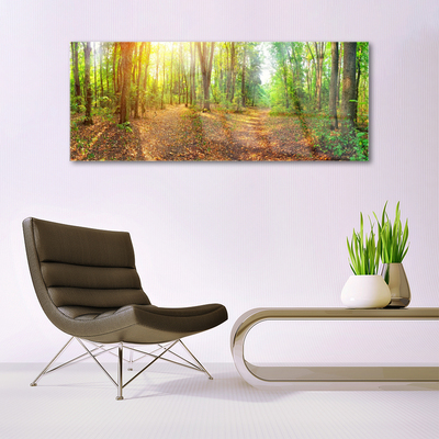 Glasbild Sun Nature Forest Path