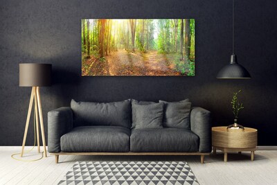 Glasbild Sun Nature Forest Path