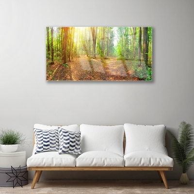 Glasbild Sun Nature Forest Path