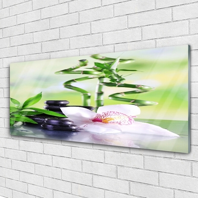 Glas bild Orchid Bamboo Zen Spa