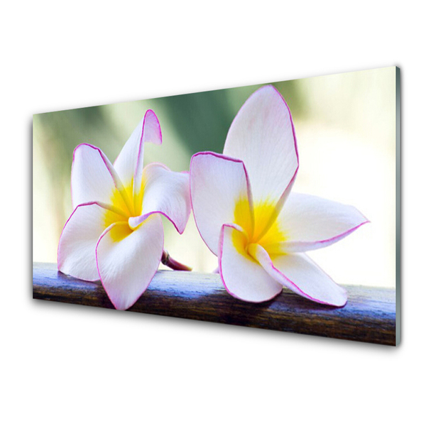 Glas bild Blommor Kronblad Plumeria