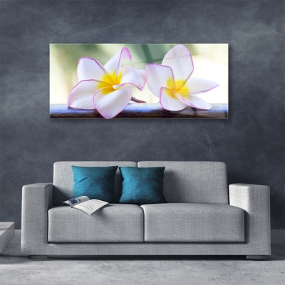 Glas bild Blommor Kronblad Plumeria