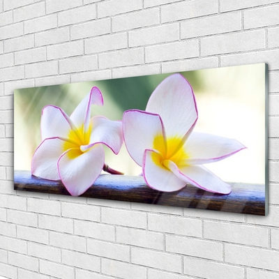 Glas bild Blommor Kronblad Plumeria