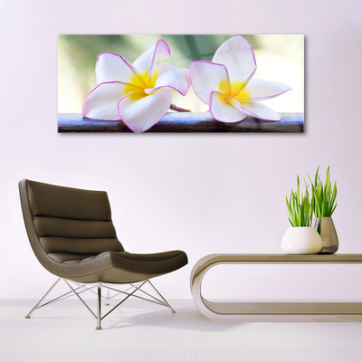 Glas bild Blommor Kronblad Plumeria