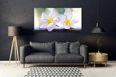 Glas bild Blommor Kronblad Plumeria