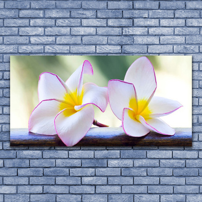 Glas bild Blommor Kronblad Plumeria