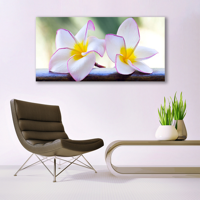 Glas bild Blommor Kronblad Plumeria