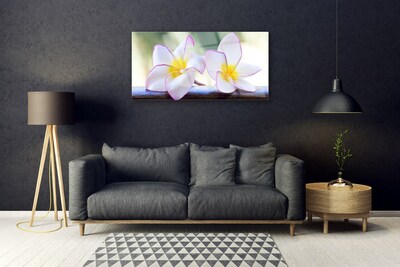 Glas bild Blommor Kronblad Plumeria