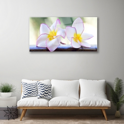 Glas bild Blommor Kronblad Plumeria