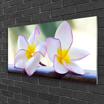 Glas bild Blommor Kronblad Plumeria