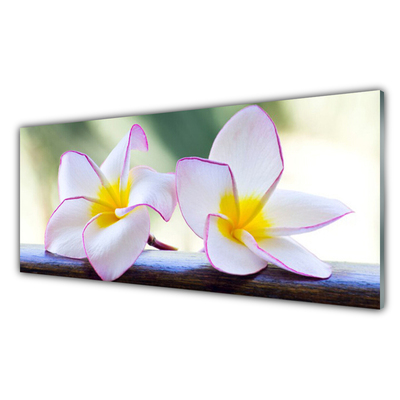 Glas bild Blommor Kronblad Plumeria