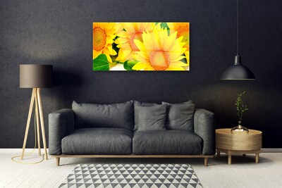 Glasbild Solros Blomma Natur