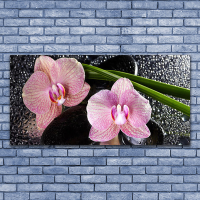 Glastavla foto Blommor Orchid Orchid Zen