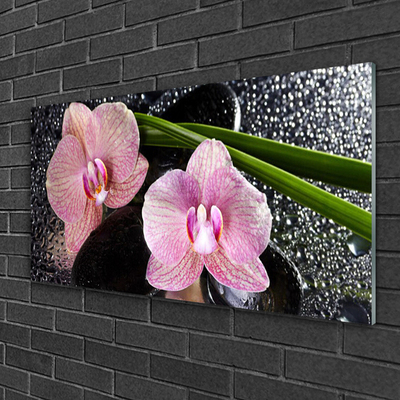 Glastavla foto Blommor Orchid Orchid Zen