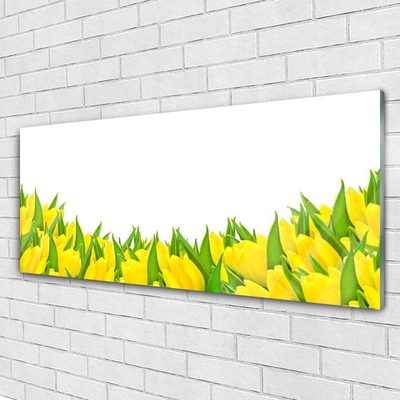 Glas bild Blommor Natur Tulpaner