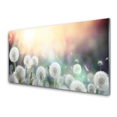 Glas bild Maskrosor Blommor Natur