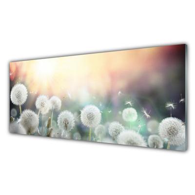 Glas bild Maskrosor Blommor Natur