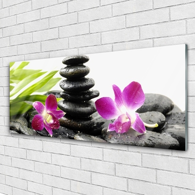 Glas bild Zen Spa Orchid stenar