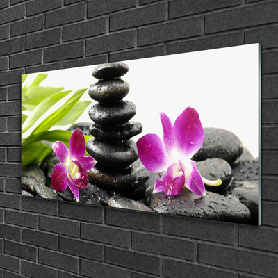 Glas bild Zen Spa Orchid stenar