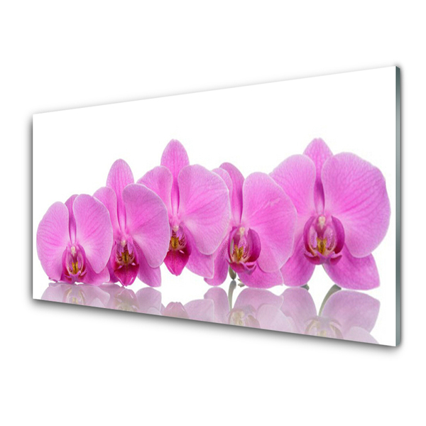 Glas bild Rosa orkidéblommor