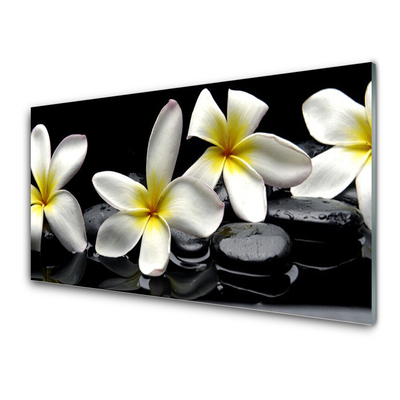 Glasbild Vacker Plumeria blomma