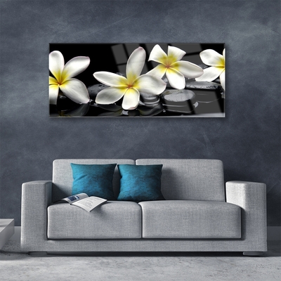 Glasbild Vacker Plumeria blomma