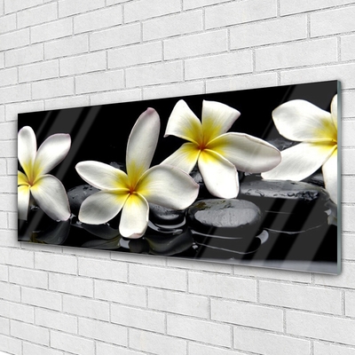 Glasbild Vacker Plumeria blomma