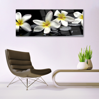 Glasbild Vacker Plumeria blomma