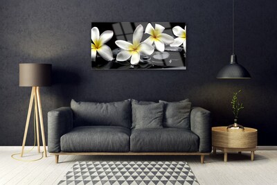 Glasbild Vacker Plumeria blomma