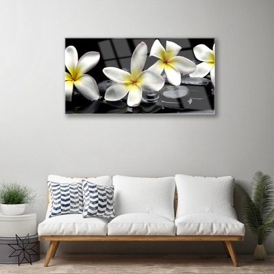 Glasbild Vacker Plumeria blomma