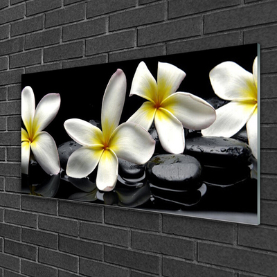 Glasbild Vacker Plumeria blomma