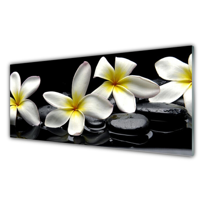 Glasbild Vacker Plumeria blomma