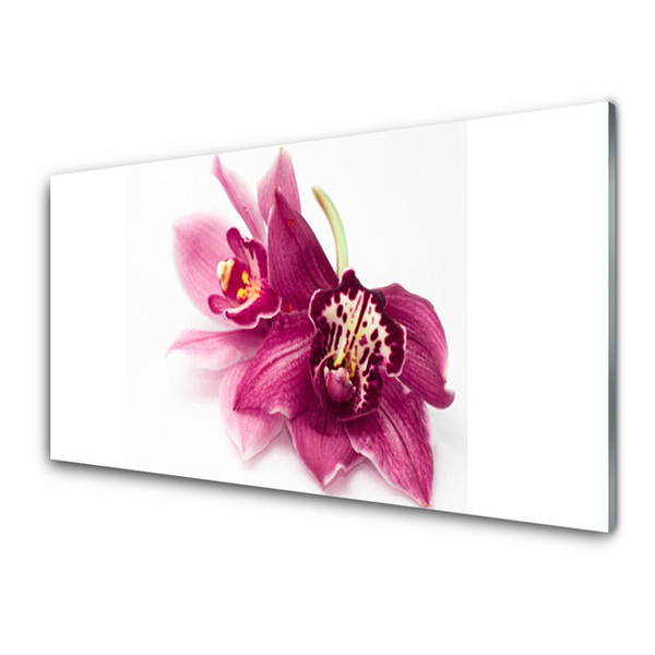 Fototryck på glas Blommor Växtnatur