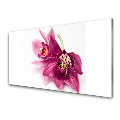 Fototryck på glas Blommor Växtnatur