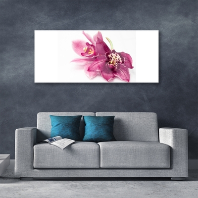 Fototryck på glas Blommor Växtnatur