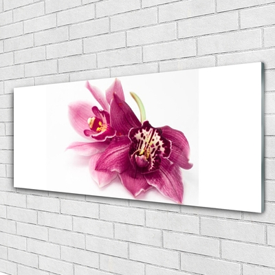 Fototryck på glas Blommor Växtnatur