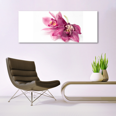 Fototryck på glas Blommor Växtnatur